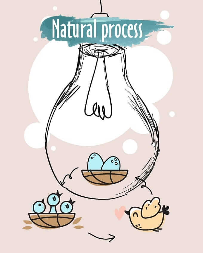 Dạng bài Natural Process (mô tả quy trình tự nhiên)