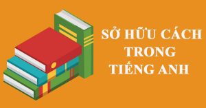 Sở hữu cách trong tiếng Anh (Possessive Case) | e4Life.vn